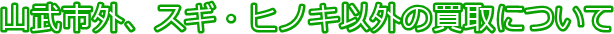 山武市外、スギ・ヒノキ以外の買取について