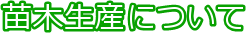 苗木生産について